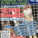garanzie agli oltre 200 husky _def