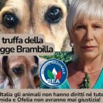 In Italia gli animali non hanno diritti né tutele Timida e Ofelia non avranno mai giustizia!