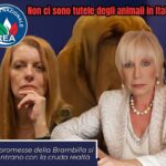 tutele animali2