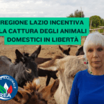 Regione Lazio incentiva la cattura degli animali domestici in libertà
