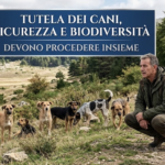 cs-rea-battaglia